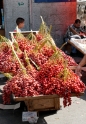 Dates, Amman Jordan